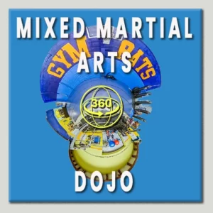 Mixed Martial Arts Virtual Tour